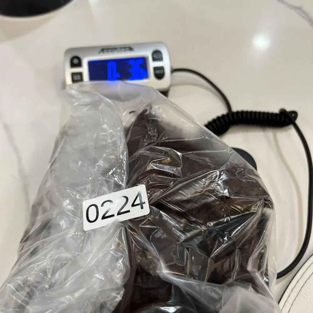 Lepel Bra 38D  Brown Lace-Trimmed Padded Bra with Adjustable Straps Italy‎ - Picture 7 of 7